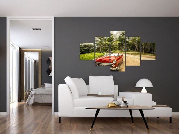Obraz - zabytkowy samochód w przyrodzie (125x70 cm)