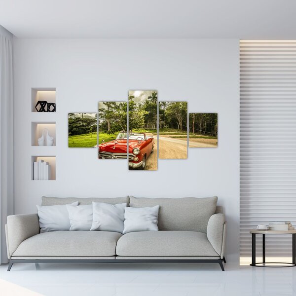 Obraz - zabytkowy samochód w przyrodzie (125x70 cm)