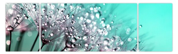 Obraz - zroszona roślina (170x50 cm)