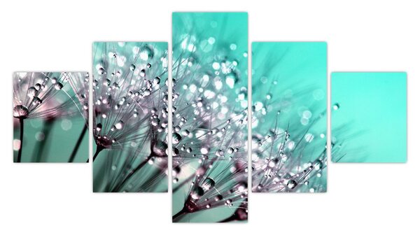 Obraz - zroszona roślina (125x70 cm)