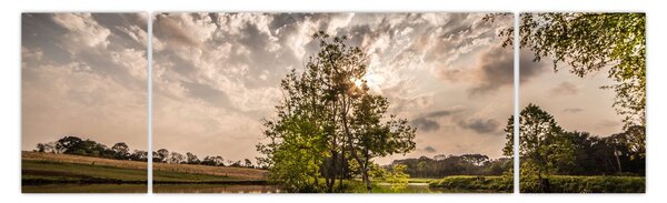 Obraz natury z promieniami (170x50 cm)