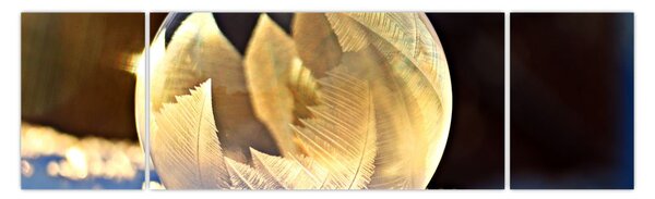 Obraz zamrożonej bańki (170x50 cm)