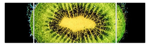 Obraz - szczegół kiwi w wodzie (170x50 cm)