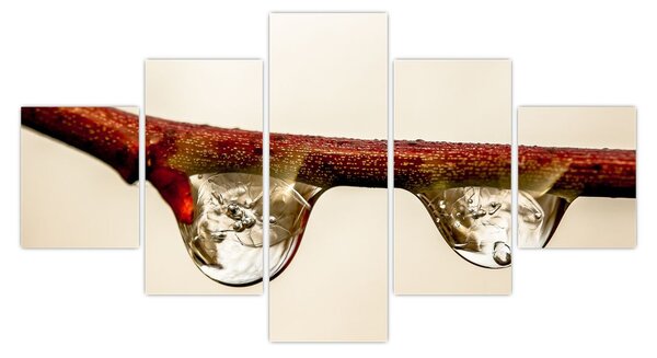 Obraz kropli na gałęzi (125x70 cm)