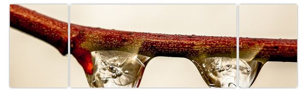 Obraz kropli na gałęzi (170x50 cm)