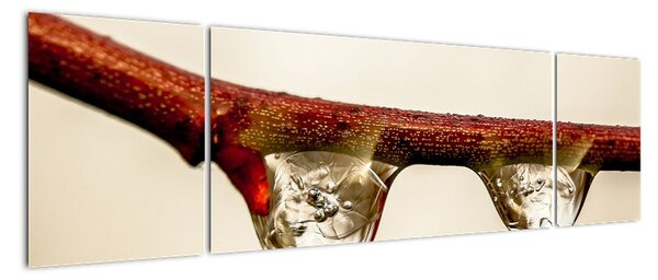 Obraz kropli na gałęzi (170x50 cm)