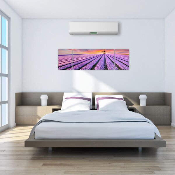 Obraz - farma kwiatów (170x50 cm)