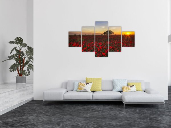Obraz łąki z makami (125x70 cm)