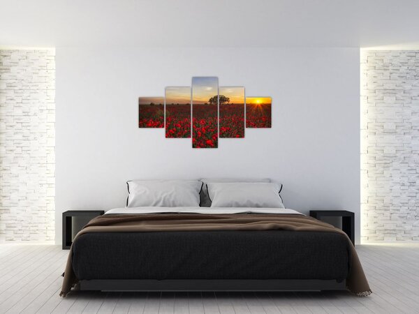 Obraz łąki z makami (125x70 cm)