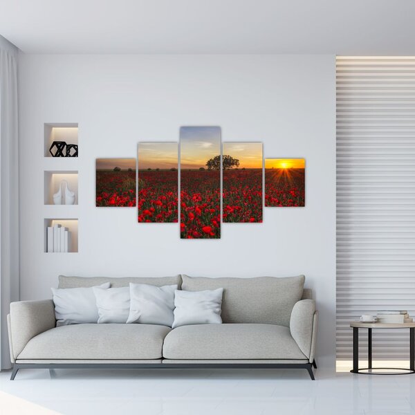 Obraz łąki z makami (125x70 cm)