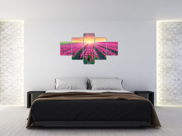 Obraz pole tulipanów ze słońcem (125x70 cm)