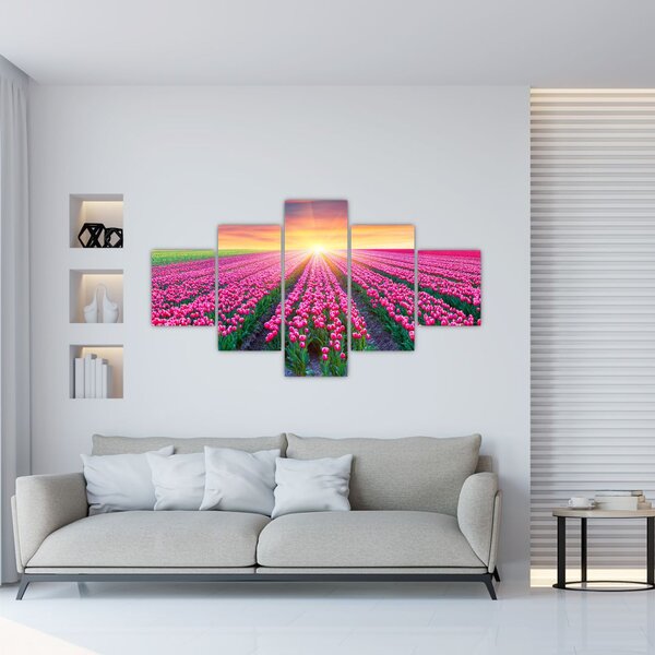 Obraz pole tulipanów ze słońcem (125x70 cm)