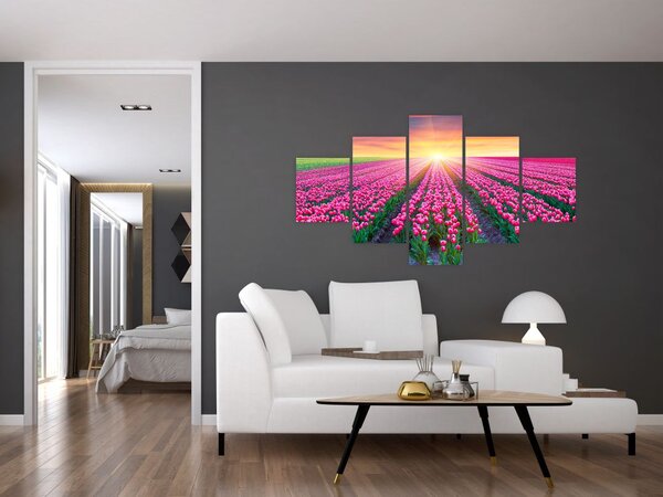 Obraz pole tulipanów ze słońcem (125x70 cm)