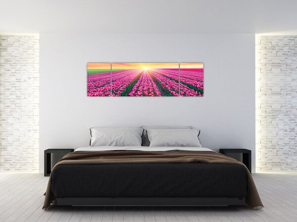 Obraz pole tulipanów ze słońcem (170x50 cm)