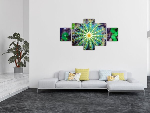 Obraz kaktusa (125x70 cm)