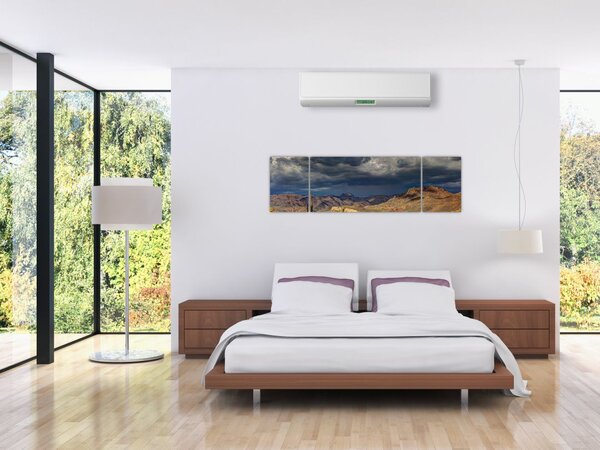 Obraz - kaktusy w przyrodzie (170x50 cm)
