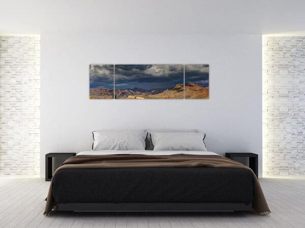 Obraz - kaktusy w przyrodzie (170x50 cm)