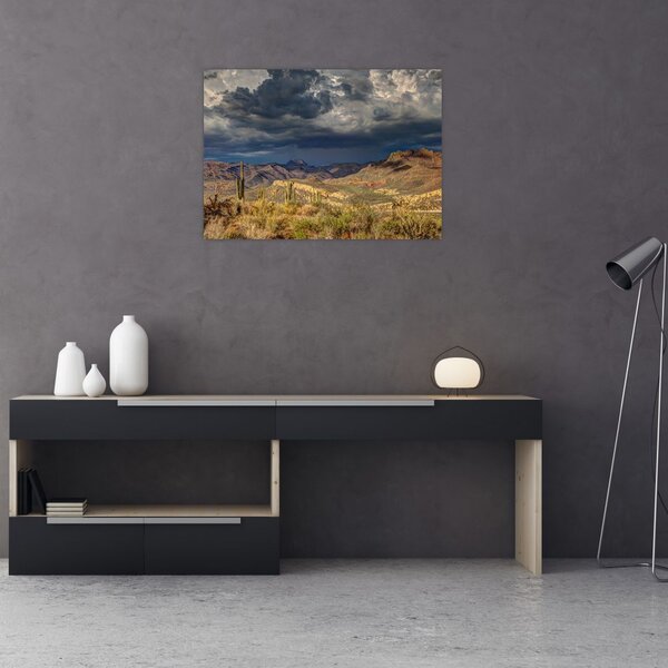 Obraz - kaktusy w przyrodzie (70x50 cm)