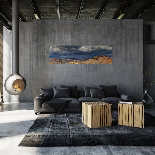 Obraz - kaktusy w przyrodzie (170x50 cm)