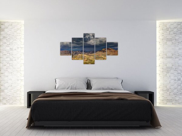 Obraz - kaktusy w przyrodzie (125x70 cm)