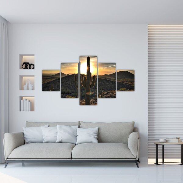 Obraz - kaktusy w słońcu (125x70 cm)