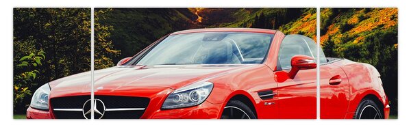 Obraz - czerwony Mercedes (170x50 cm)