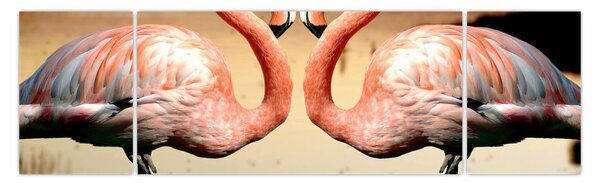 Obraz - dwa flamingi (170x50 cm)
