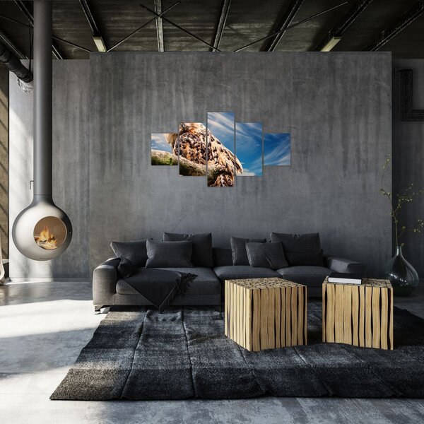 Obraz sowy (125x70 cm)