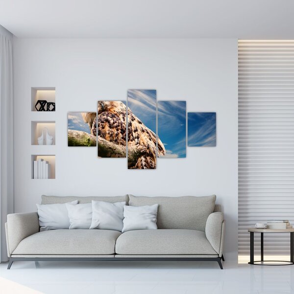 Obraz sowy (125x70 cm)