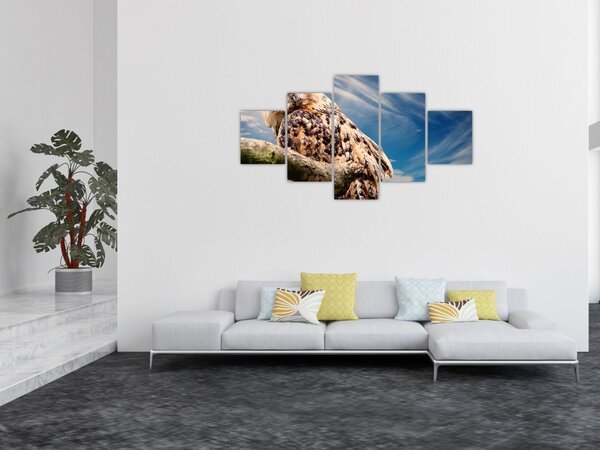 Obraz sowy (125x70 cm)
