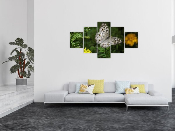 Obraz - biały motyl (125x70 cm)