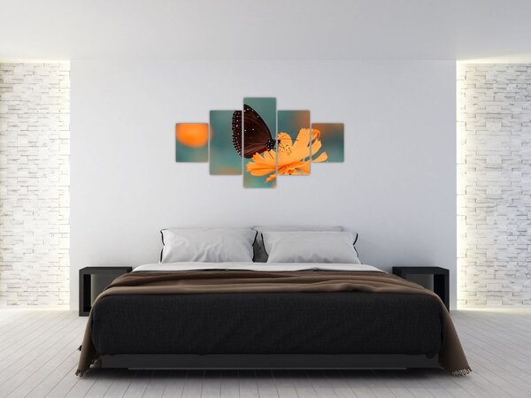 Obraz - motyl na pomarańczowym kwiatku (125x70 cm)