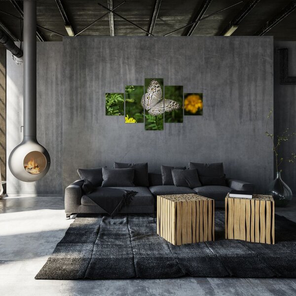 Obraz - biały motyl (125x70 cm)