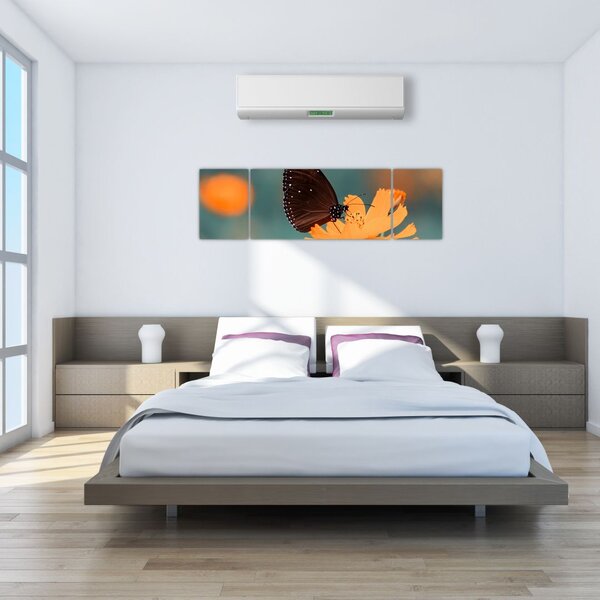 Obraz - motyl na pomarańczowym kwiatku (170x50 cm)