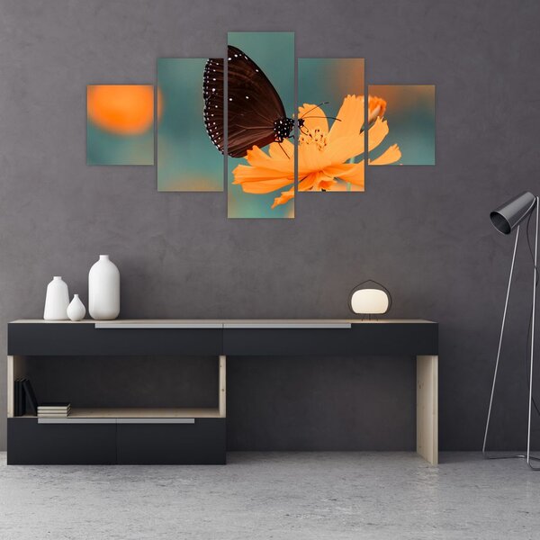 Obraz - motyl na pomarańczowym kwiatku (125x70 cm)