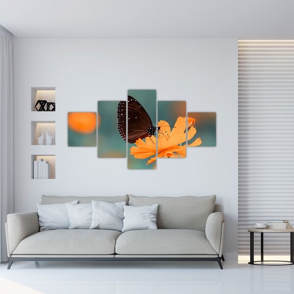 Obraz - motyl na pomarańczowym kwiatku (125x70 cm)