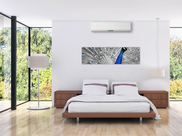 Obraz - niebieski paw (170x50 cm)