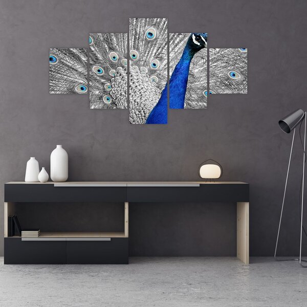 Obraz - niebieski paw (125x70 cm)