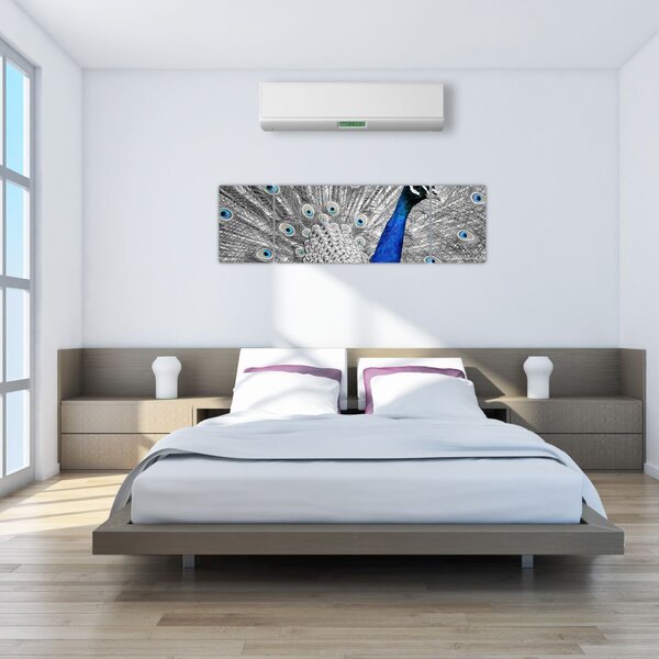 Obraz - niebieski paw (170x50 cm)