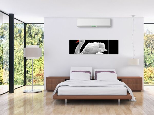 Obraz czarno - białego łabędzia (170x50 cm)
