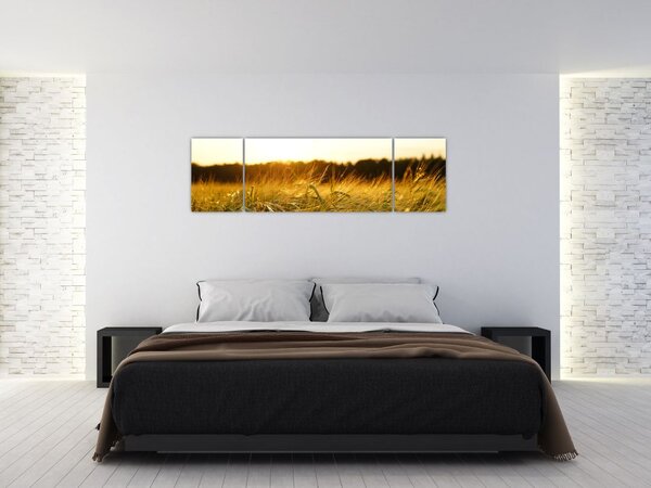 Obraz zroszonej trawy (170x50 cm)