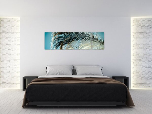 Obraz pióra (170x50 cm)