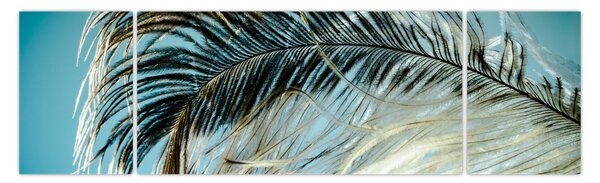 Obraz pióra (170x50 cm)