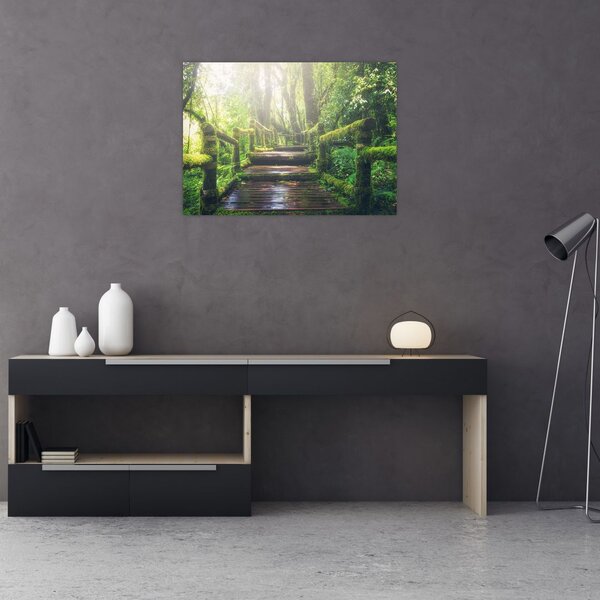 Obraz - drewniane schody w lesie (70x50 cm)