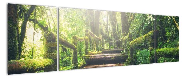 Obraz - drewniane schody w lesie (170x50 cm)