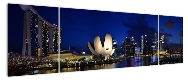 Obraz Singapuru nocą (170x50 cm)