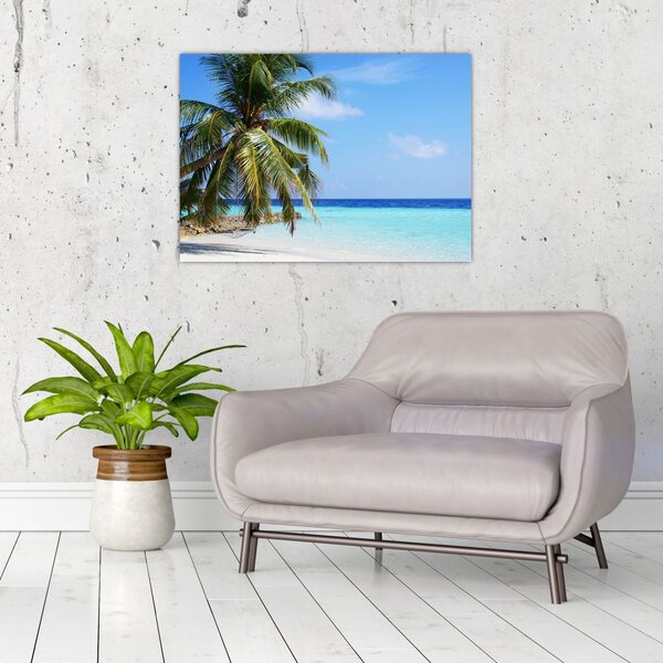 Obraz palmy na plaży (70x50 cm)