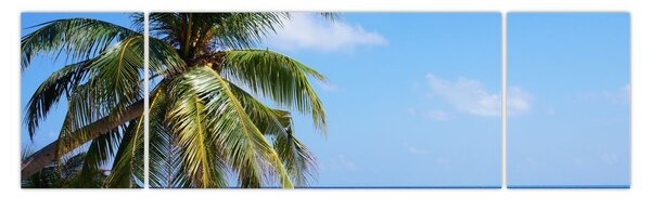 Obraz palmy na plaży (170x50 cm)