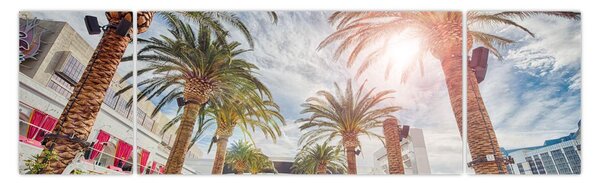 Obraz - palmy z basenem (170x50 cm)