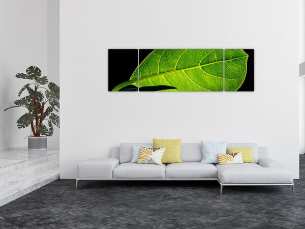 Obraz - zielony liść (170x50 cm)